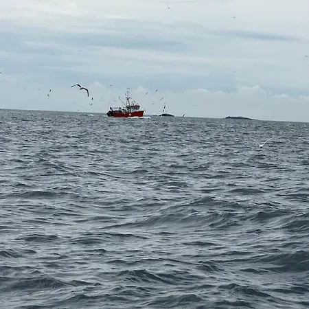 아파트 Nydelig Ferieleilighet Pa Bryggekanten Korshamn (Vest-Agder)
